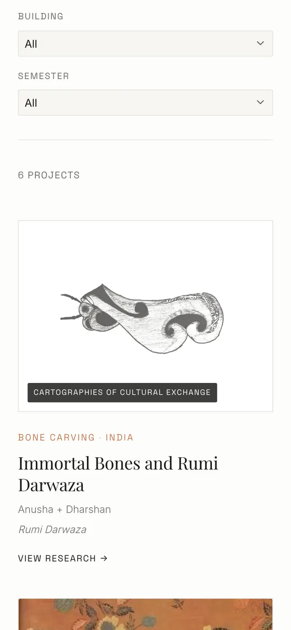 Gallery on a phone: filters stacked above a project card for Immortal Bones and Rumi Darwaza.